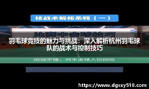 羽毛球竞技的魅力与挑战：深入解析杭州羽毛球队的战术与控制技巧