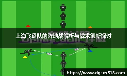 上海飞盘队的阵地战解析与战术创新探讨